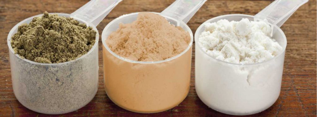 6 Best Protein Powder For Muscle Building 6 Best Protein Powder For Muscle Building